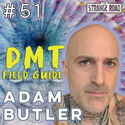 DMT Field Guide | Adam Butler